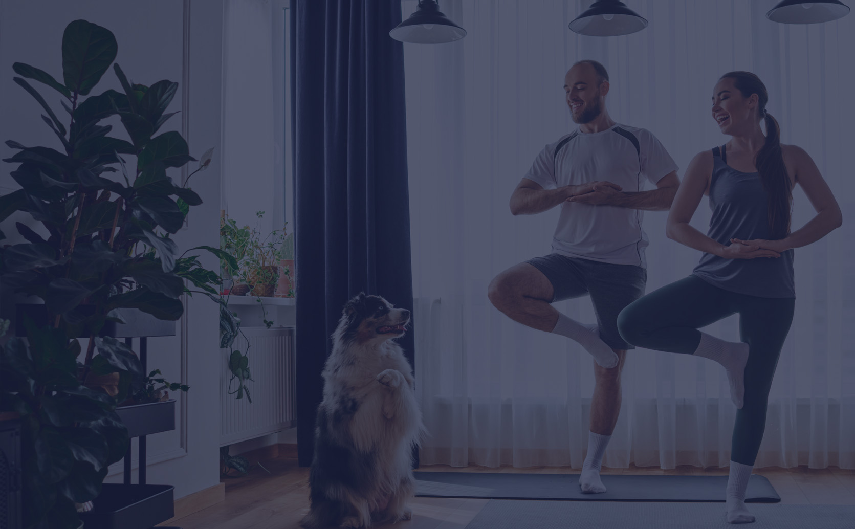 Couple and dog at home standing in yoga pose on fitness mats